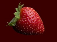 Polyploid plants with more chromosomes (strawberries have eight sets of chromosomes) often exhibit increased stress tolerance compared to their diploid counterparts. Getty/Jonathan Knowles