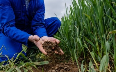 Regenerative agriculture helps protect the land for future generations, according to the panel. Image Source: Getty Images/SolStock