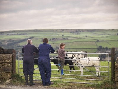 Farmers were concerned about cultivated meat, but they also saw opportunities. Image Source: Getty Images/	Monty Rakusen