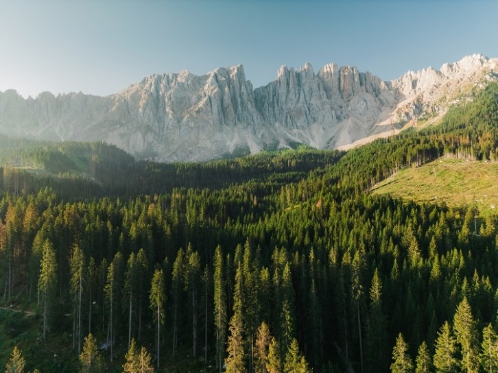 The Nature Restoration Law aims to restore natural ecosystems. Image Source: Getty Images/Oleh_Slobodeniuk