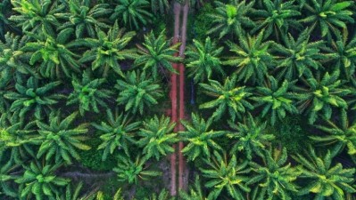 Palm oil production grew approximately 40 times in the last 50 years. Image: Getty/ibnjaafar