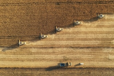 Cereals, which much of the world relies on for calories, has fallen in price. Image Source: Getty Images/ArtistGNDphotography