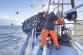 How is the fishing industry tackling sustainability? GettyImages/Monty Rakusen