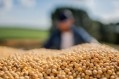 Soybean is a key commodity, both in the causes of climate change and, through alternative protein, its potential solutions. Image Source: Getty Images/Drs Producoes