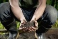Is zinc the secret to replenishing soil nutrients? GettyImages/Compassionate Eye Foundation-Steven Errico