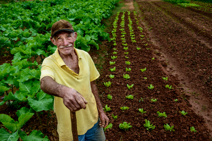 Searching for sustainable agri-food production in Brazil
