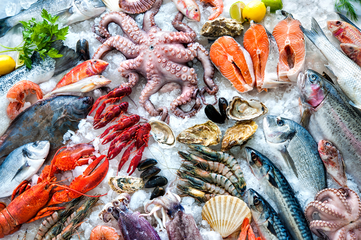 Assortment Of Edible Fresh Fish And Shellfish Stock Image H110/0723 Science  Photo Library