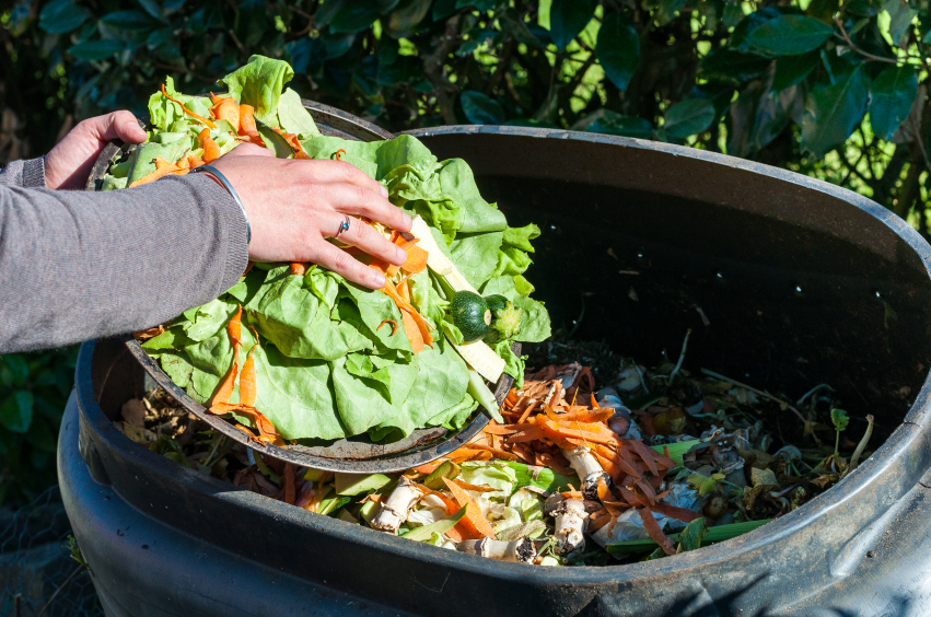 https://www.foodnavigator.com/var/wrbm_gb_food_pharma/storage/images/publications/food-beverage-nutrition/foodnavigator.com/article/scale-of-strawberries-and-lettuce-food-waste-reaches-33.8m-annually-wrap-says/7382782-1-eng-GB/Scale-of-strawberries-and-lettuce-food-waste-reaches-33.8m-annually-WRAP-says.jpg