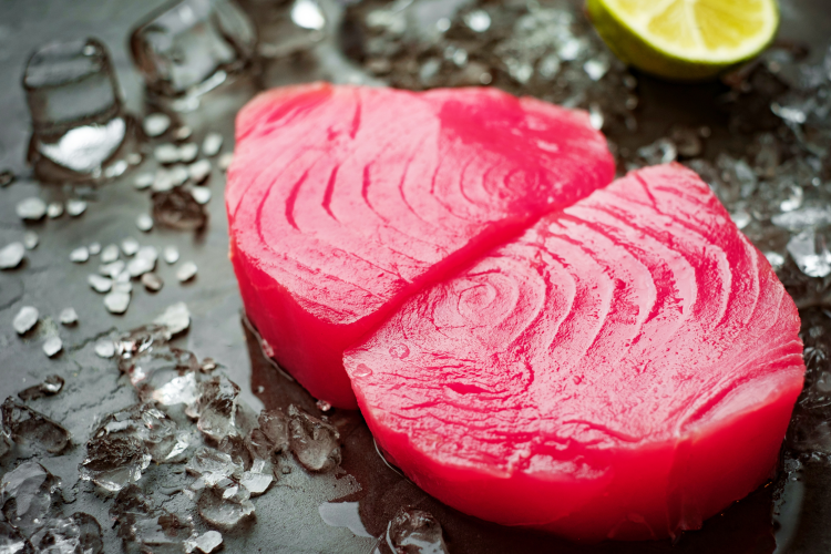 Yellowfin tuna 'heading for collapse' by 2026: A 20% reduction in catch  would turn the tide