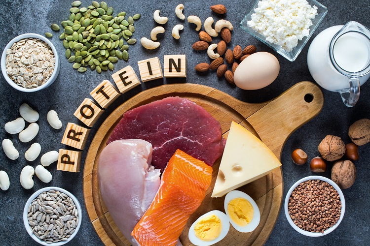 Is a high-protein diet damaging to brain health?